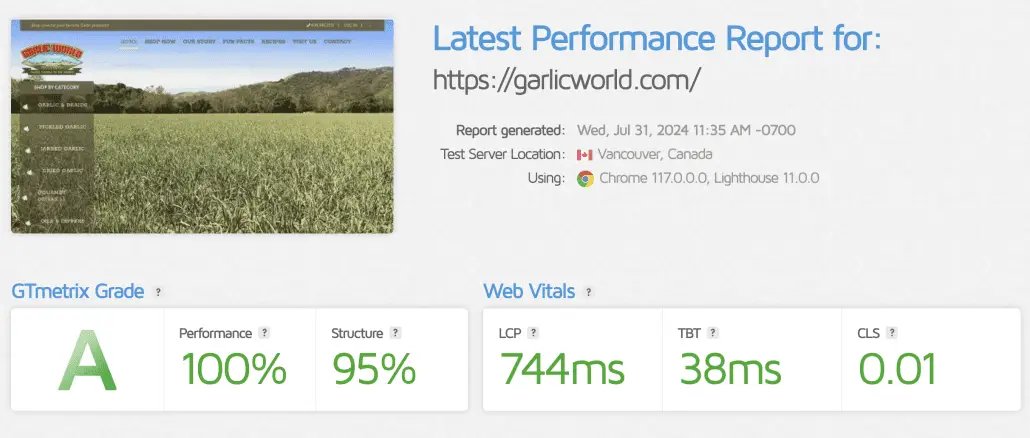 WordPress speed optimization - gw after