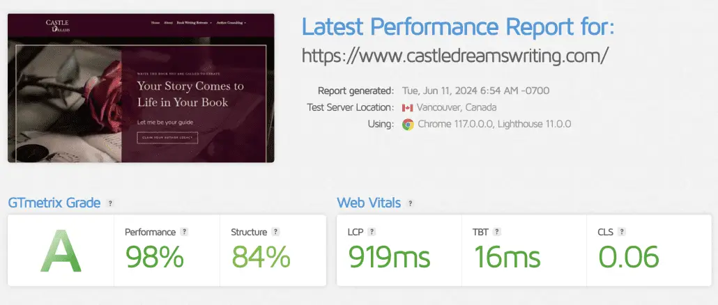 WordPress speed optimization - casle before