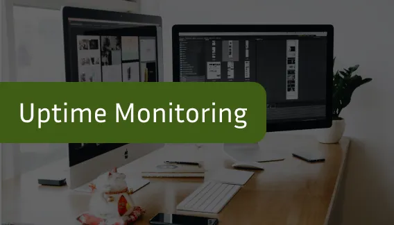 Uptime Monitoring