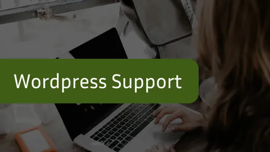 Personal WordPress Support